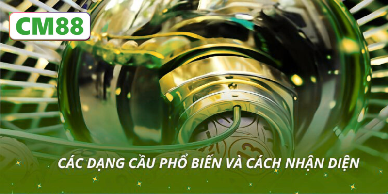 Cách soi rồng bạch kim chuẩn xác nhất